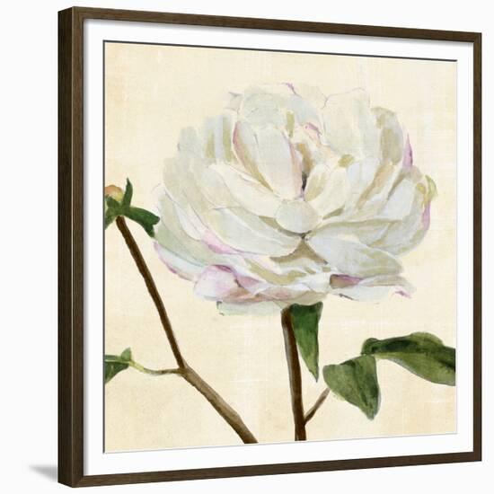 Peony in Bloom I-Annie Warren-Framed Premium Giclee Print