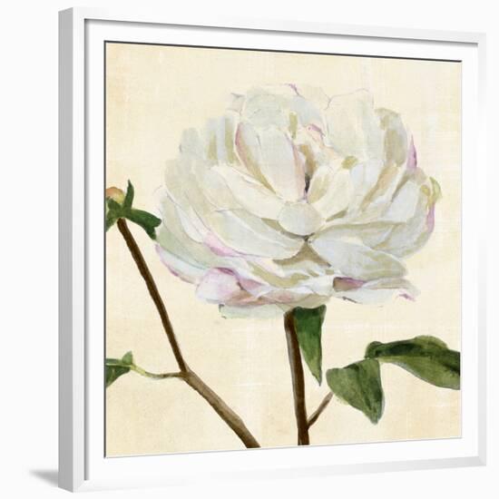 Peony in Bloom I-Annie Warren-Framed Premium Giclee Print