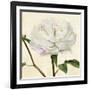 Peony in Bloom I-Annie Warren-Framed Premium Giclee Print