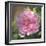 Peony in Pink I-Megan Meagher-Framed Art Print