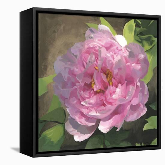 Peony in Pink I-Megan Meagher-Framed Stretched Canvas