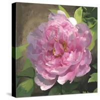 Peony in Pink I-Megan Meagher-Stretched Canvas