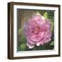 Peony in Pink I-Megan Meagher-Framed Art Print