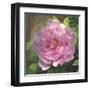 Peony in Pink I-Megan Meagher-Framed Art Print