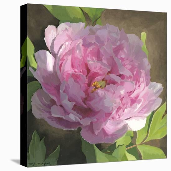 Peony in Pink II-Megan Meagher-Stretched Canvas