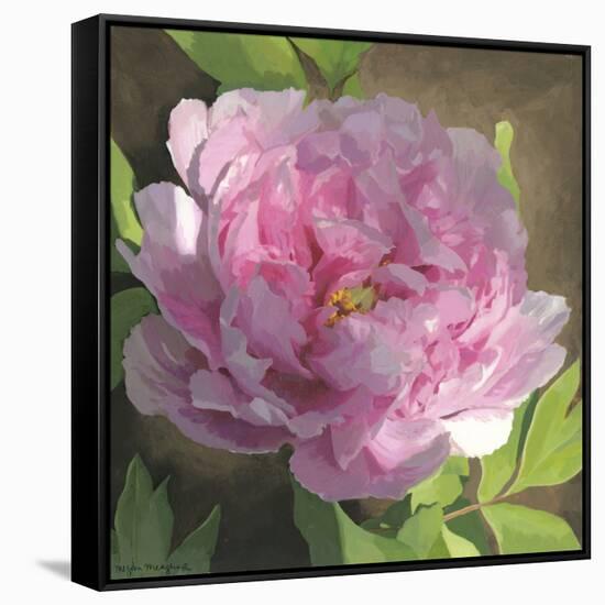 Peony in Pink II-Megan Meagher-Framed Stretched Canvas