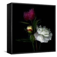 Peony Mix-Magda Indigo-Framed Stretched Canvas