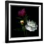 Peony Mix-Magda Indigo-Framed Photographic Print