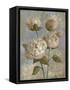 Peony on Soft Blue-Silvia Vassileva-Framed Stretched Canvas