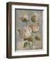 Peony on Soft Blue-Silvia Vassileva-Framed Art Print