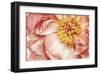 Peony One-Diane Poinski-Framed Giclee Print