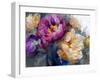 Peony Opera I-null-Framed Giclee Print