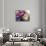 Peony Opera I-null-Giclee Print displayed on a wall