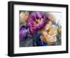 Peony Opera I-null-Framed Giclee Print