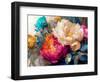 Peony Opera II-null-Framed Giclee Print