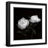 Peony Perfection I-Jeff Maihara-Framed Giclee Print