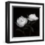 Peony Perfection I-Jeff Maihara-Framed Giclee Print