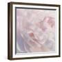 Peony Pink Blush I-David Pollard-Framed Art Print