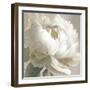 Peony Poses III-Sasha-Framed Giclee Print