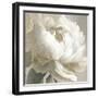 Peony Poses III-Sasha-Framed Giclee Print