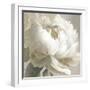 Peony Poses III-Sasha-Framed Giclee Print