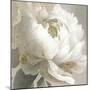 Peony Poses III-Sasha-Mounted Giclee Print