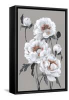 Peony Profusion I-Jennifer Goldberger-Framed Stretched Canvas