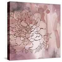 Peony Reverie 1-Tina Epps-Stretched Canvas