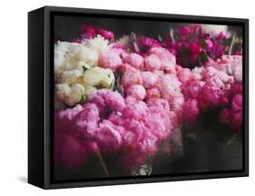 Peony Season, 2018-Helen White-Framed Stretched Canvas