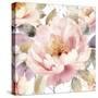 Peony Season-Sasha-Stretched Canvas