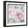 Peony Shimmer-Stefania Ferri-Framed Art Print