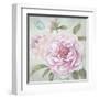 Peony Shimmer-Stefania Ferri-Framed Art Print