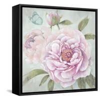 Peony Shimmer-Stefania Ferri-Framed Stretched Canvas