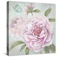Peony Shimmer-Stefania Ferri-Stretched Canvas