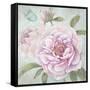 Peony Shimmer-Stefania Ferri-Framed Stretched Canvas