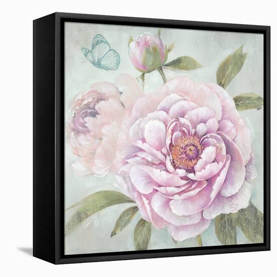 Peony Shimmer-Stefania Ferri-Framed Stretched Canvas