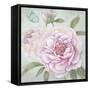 Peony Shimmer-Stefania Ferri-Framed Stretched Canvas