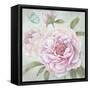 Peony Shimmer-Stefania Ferri-Framed Stretched Canvas