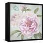 Peony Shimmer-Stefania Ferri-Framed Stretched Canvas