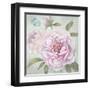 Peony Shimmer-Stefania Ferri-Framed Art Print