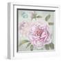 Peony Shimmer-Stefania Ferri-Framed Art Print