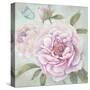 Peony Shimmer-Stefania Ferri-Stretched Canvas