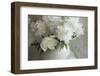 Peony Study-Anna Miller-Framed Photographic Print