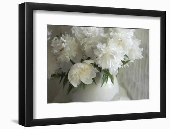 Peony Study-Anna Miller-Framed Photographic Print