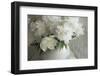 Peony Study-Anna Miller-Framed Photographic Print