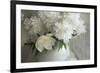 Peony Study-Anna Miller-Framed Photographic Print