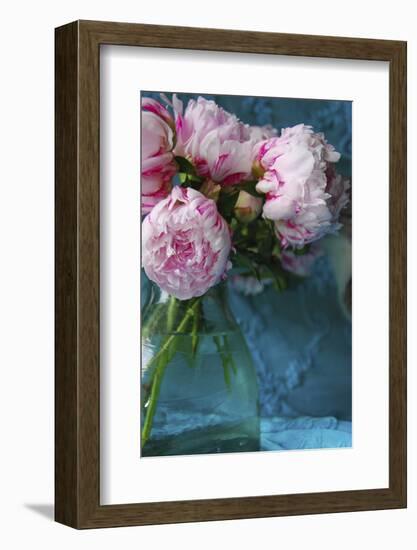 Peony Study-Anna Miller-Framed Photographic Print