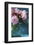 Peony Study-Anna Miller-Framed Photographic Print