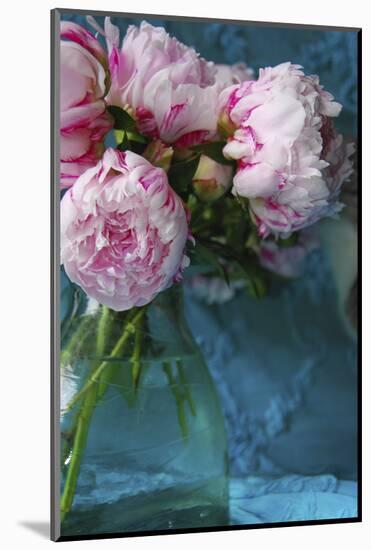 Peony Study-Anna Miller-Mounted Photographic Print