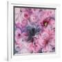 Peony Swirl-li bo-Framed Giclee Print